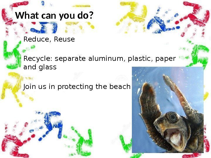 What can you do? Reduce, Reuse Recycle: separate aluminum, plastic, paper and glass Join